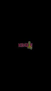 Felibite Ikan/Donat 500 Gram Freshpack - Makanan Kering Kucing Dewasa