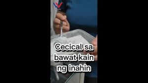 2 Kilos Cecical Powder Feed Premix: A Premium Animal Nutrition Solution