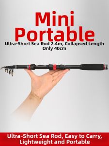 Ultra-light Hard Fishing Rod