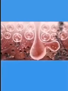 Eczema body wash Obat gatal gatal kulit Pengobatan Eksim Psoriasis Kurap Gatal kulit Jamur kulit Sabun buat kulit sensitif 500ML