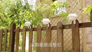 Đèn trang trí năng lượng mặt trời Gắn tường tích kiệm điện bóng siêu sáng chống thấm nước - DA3079