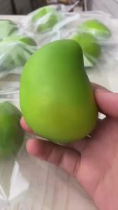 Bóng Xả Stress Xoài Giòn Mềm Làm Thủ Công Đồ Chơi Bóp Giảm Căng Thẳng Cho Người Lớn Hình Khối Tròn Đồ Chơi Cảm Giác ASMR