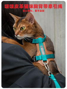 Adjustable Leather Cat Back Leash Anti-Escape Cool Small Cat Walking Pet Harness Dog Leash Travel Gear Pet Supplies