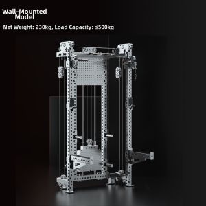 DAQIJIAN | DaQi Stainless Steel Wall-Mounted Multi-Function Squat Rack and Bench Press Barbell Set