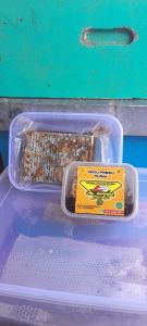 MADU SARANG (honey comb) 400gram ORIGINAL FULL NEXTAR HUTAN AKASIA RIAU