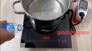 Bếp Từ Đơn Inverter Prato PT-1126 S Công Suất 1200W Bảo Hành 2 Năm - Lắp Âm Để Dương