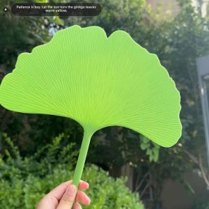 MIVOFIVO | Cool Durable Shock-Resistant Fan Large Thick Ginkgo Leaf Stylish
