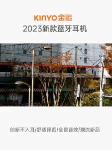 Wireless Bluetooth 5.3 Headphones Sports Earphones 36 Hour Endurance HiFi Sound Quality Waterproof TWS Headset