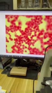 Dầu Soi Dành Cho Kính Hiển Vi Sinh Học ( Chai Nhỏ 5ml )