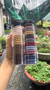 Hộp 20 Chun Buộc Tóc Nhiều Màu Sắc Dây Buộc Tóc Trơn Kèm Ống Đựng Trong Suốt