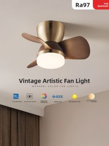 SUOYAN | Quiet Simple Eye-Protection Full Spectrum Ceiling Fan Light