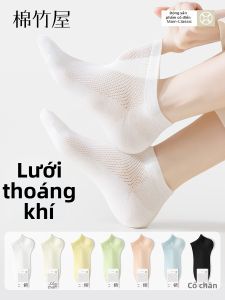 B&C.Room | Breathable Thin Cotton Short Socks For Women
