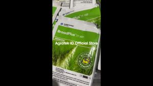 BROADPLUS 77 WP 40 gram Herbisida Selektif Tanaman Padi