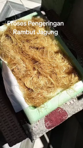 Herbal Rambut Jagung Kering / Simplisia Rambut Jagung Kering / Dried Cornsilk / Teh Herbal Rambut Jagung Kering