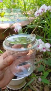 Gói 200 Ly Cốc nhựa PET 550ml 18oz nhập khẩu trong suốt cứng cáp miệng 98 kết hợp nắp trực tiếp 98