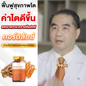 🔥พร้อมส่ง ของแท้ 💯ไตเสื่อมไตเรื้อรัง ! เห็ดยาทางการแพทย์ จากญี่ปุ่น อาหารเสริมไต สำหรับระบบไตและหลอดเลือด