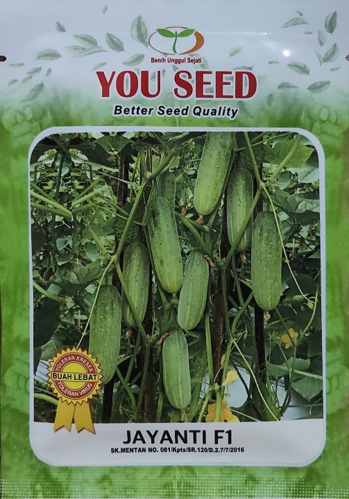 Alena Piskunning porno konsertlari