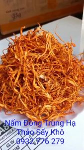 [HCM] ĐÔNG TRÙNG HẠ THẢO SẤY KHÔ CAO CẤP 100G -TĂNG CƯỜNG SỨC KHỎE Muasam nhanh