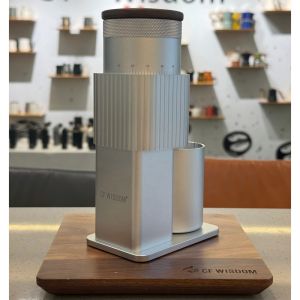 CF WISDOM New Vertical  Portable Electric Bean Grinder 402 Stainless Steel Six Star Grinding Core 25g Powder Silo