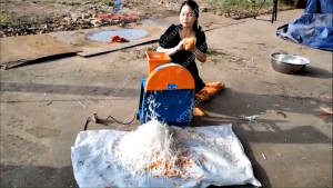 Máy thái sợi củ quả làm mứt tết 2025 giá rẻ miễn phí vận chuyển