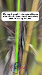 Cần Câu Tay Câu Đơn Câu Đài Thanh Long 3H CT17 - Sanami Fishing