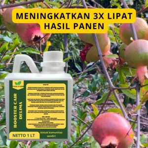 Pupuk Semprot Pelebat Buah DELIMA Pupuk Pelebat Buah DELIMA Pupuk Penyubur Buah DELIMA ZPT