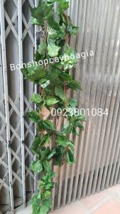 Combo 5 Dây lá thường xuân xịn dài 2m4- Dây lá giả