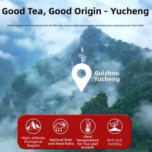 BAOGUOLE | Top Grade Wild Fresh Buds Small Leaf Kuding Tea