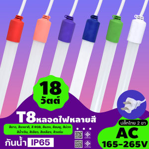 หลอดไฟงานวัด ไฟงานวัด หลอดนีออนสี หลอดไฟงานวัด LED พร้อมปลั๊ก T8