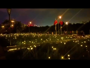 Light Color Changing Solar Firefly Light Floor Lamps Solar Lawn Decorative Lights