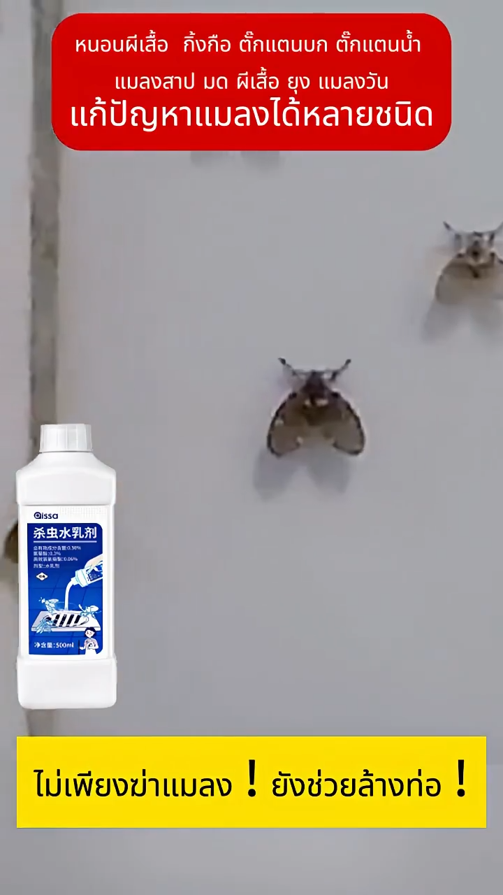 ยาฆ่าแมลงฆ่าแมลงที่ผ่านท่อระบายน้ําในครัวเรือนและท่อระบายน้ําชั้น ยาฆ่าแมลงท่อระบายน้ํา 500มล ยาฆ่าแมลง
