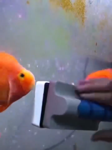 Aquarium Magnetic Cleaner