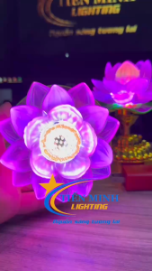 [GIÁ 1 CÂY] ĐÈN LED SEN LƯU LY ĐỔI MÀU CAO 14CM DÙNG ĐIỆN HOẶC DÙNG PIN - TẶNG KÈM 3 PIN AA