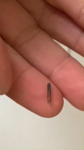 10pcs Engraved Microchip Pet Id Tags Rfid Glass Transponder Implanter for birds dog cat sheep