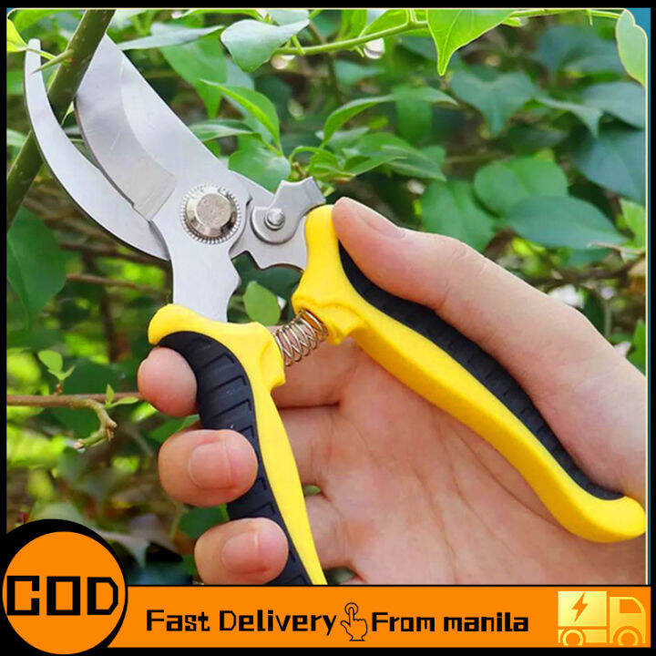 Pruning shears store lazada