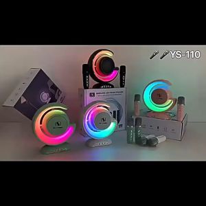 D&D Home YS-110 Home KTV Bluetooth Speaker Colorful Light 10W Wireless Bluetooth with Dual Microphone