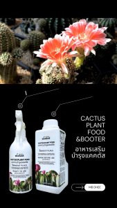 ปุ๋ยแคคตัส กระบองเพชร อาหารเสริมแคคตัส สเปรย์บำรุงต้นแคคตัส