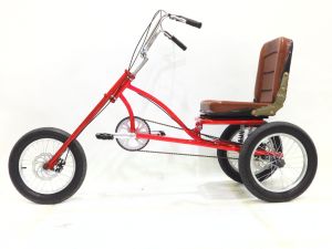 XE ĐẠP BA BÁNH CHO NGƯỜI GIÀ NGƯỜI ĐI LẠI KHÔNG THUẬN TIỆN