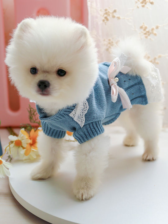 Princess Style Spring Autumn Dog Sweater Cat Dress Pet Clothes for Bichon  Teddy Pomeranian Yorkie Puppy Breathable Daily Use | Lazada PH