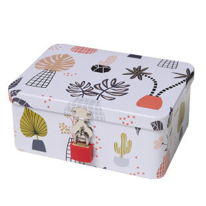 Password-protected Iron Box Storage Box File Box Document Storage Case Cute Money-saving Box for Home Dormitory Student Use