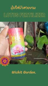 ปูกบัว แบบกระปุก ตราบัวทอง ร่งการเจริญเติปโตและการออกดอกของบัว 1 กระปุก บรรจุ 50 ก้อน และปูยบัวแบบแผง 12 ก้อน