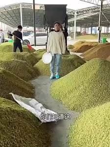 Green Sultana Raisins Large Dried Fruit