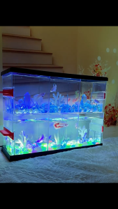 High Definition ABS Transparent Fish Tank Shatterproof 3 Grids Fish Breeding Box Stackable with Light Desktop