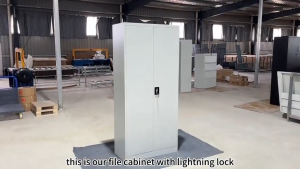 (Assembly required)High Quality Durable Two Swing Doors With Key Lock Metal Filing Cabinet For Office Document Organization