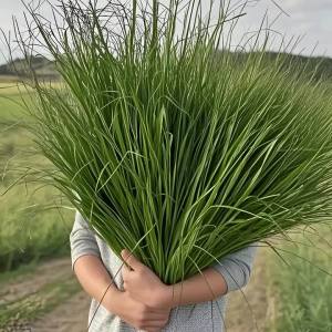 14 Cây Cỏ Nhân Tạo Cao Cỏ Lúa Mì Giả Để Trang Trí Ngoài Trời Cây Xanh Giả Cho Trang Trí Nhà Cửa Vườn.