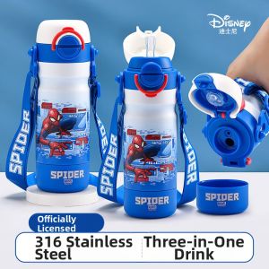 Disney | Portable School Water Bottle with Straw 316 Stainless Steel