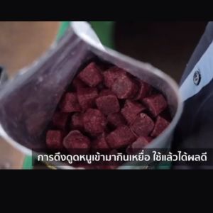 ยาเบื่อหนู ยากำจัดหนู ยาฆ่าหนู เหยื่อหนู ขนาด 1โบรมาดิโอการ์ด กำจัดหนู ฆ่าหนู