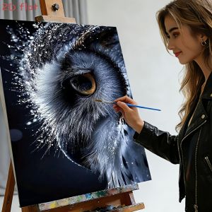 BILIBILI | DIY Oil Painting By Numbers Owl Eye Pattern Pictures By Numbers Acrylic Kits For Home Decoration Gift