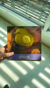 การ์ด Animal (ขนฟู)