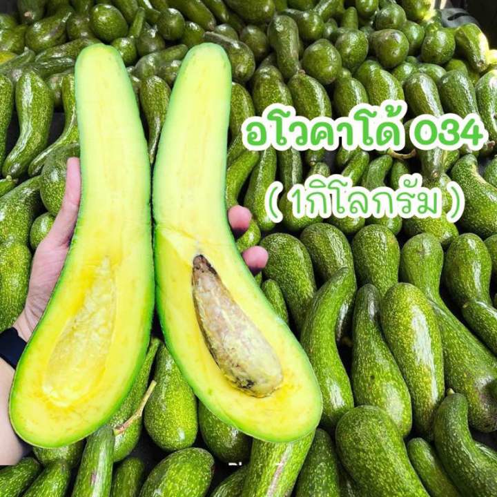 พร้อมส่ง‼️(1KG) อโวคาโด้034 avocado🥑 | Lazada.co.th